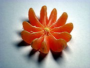 4180px-Mandarin_fruit.jpg