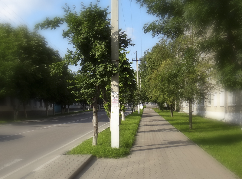 DSC00271.jpg