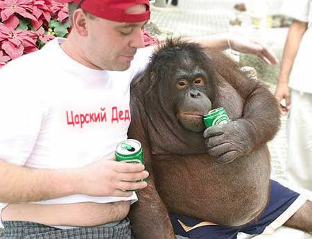 monky-beer.jpg