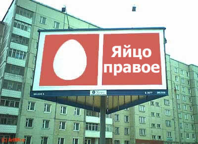 right-egg.jpg